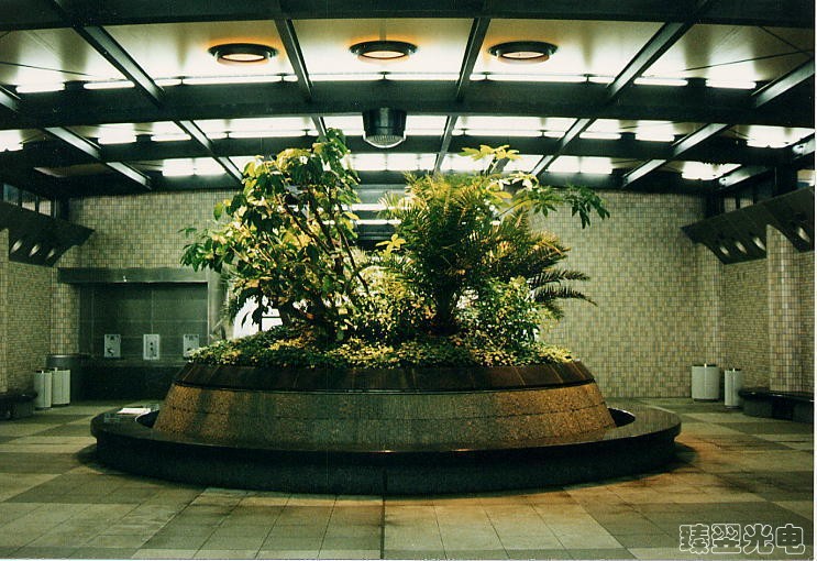 光導(dǎo)照明，光纖照明，室內(nèi)植物照射